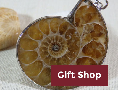 Gift Shop