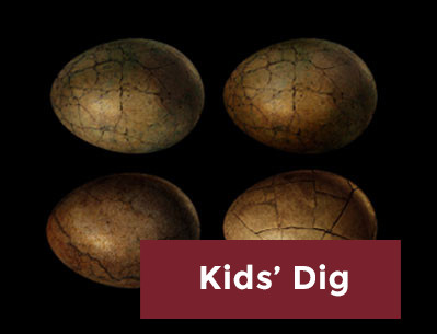 Kids' Dig