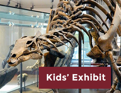 Kids' Exhibit