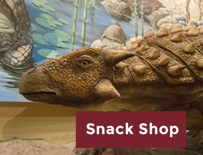 Snack Shop